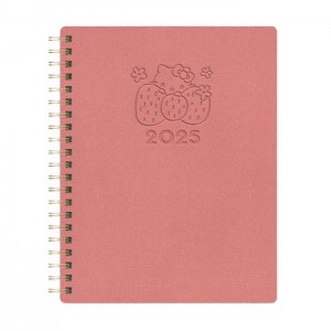 Pink Hello Kitty Hello Kitty x Studio Oh! 2025 Desert Adventure Baxter Planner | CA_HK93570